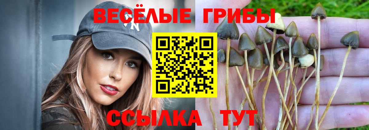 Галлюциногенные грибы MAGIC MUSHROOMS Сорочинск