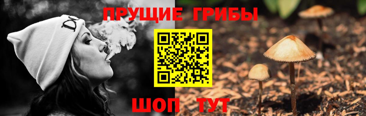 Галлюциногенные грибы ЛСД  Псилоцибиновые грибы GOLDEN TEACHER  Сорочинск  Вход с VPN 